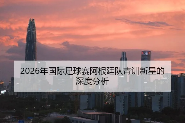 2026年国际足球赛阿根廷队青训新星的深度分析（HTH Sports）