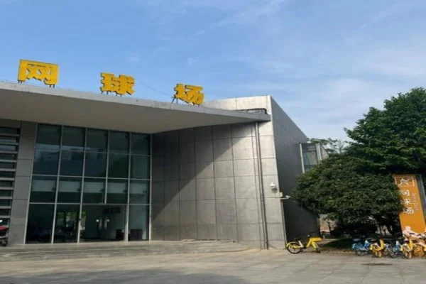 名古屋亚运七人制橄榄球中国女队硬碰日本出线形势深度分析